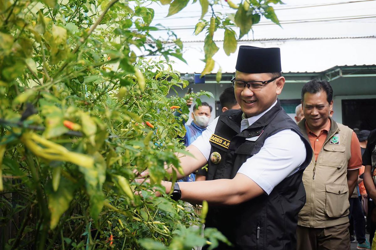 Pemkot Batu canangkan P2L demi wujudkan kemandirian pangan