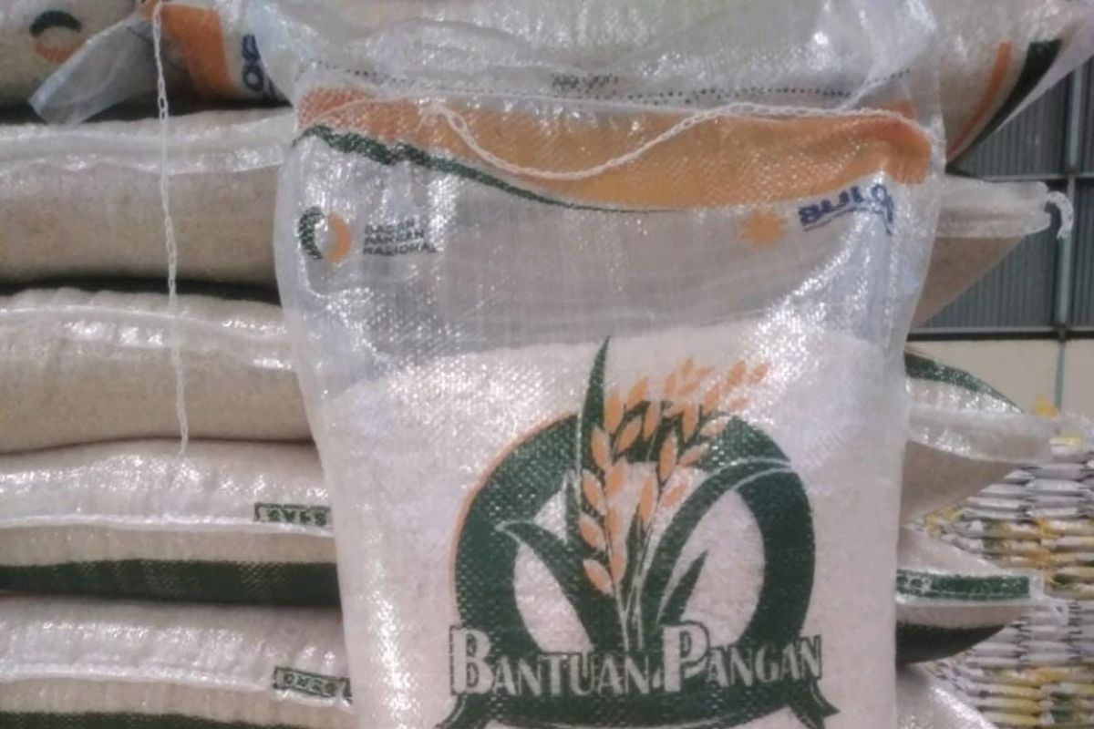 Govt rice aid disbursal starting Mar 31: Bapanas