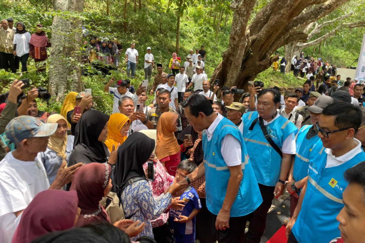 Memutus kutukan musim kemarau "sapi makan sapi" di Gunung Kidul