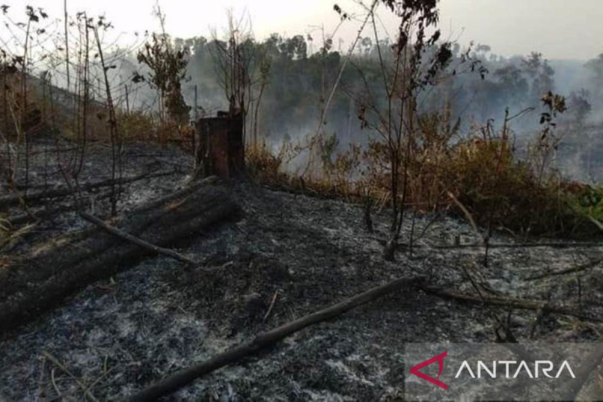 Kaltim kemarin, Ulama peduli inflasi hingga persiapan jelang kemarau