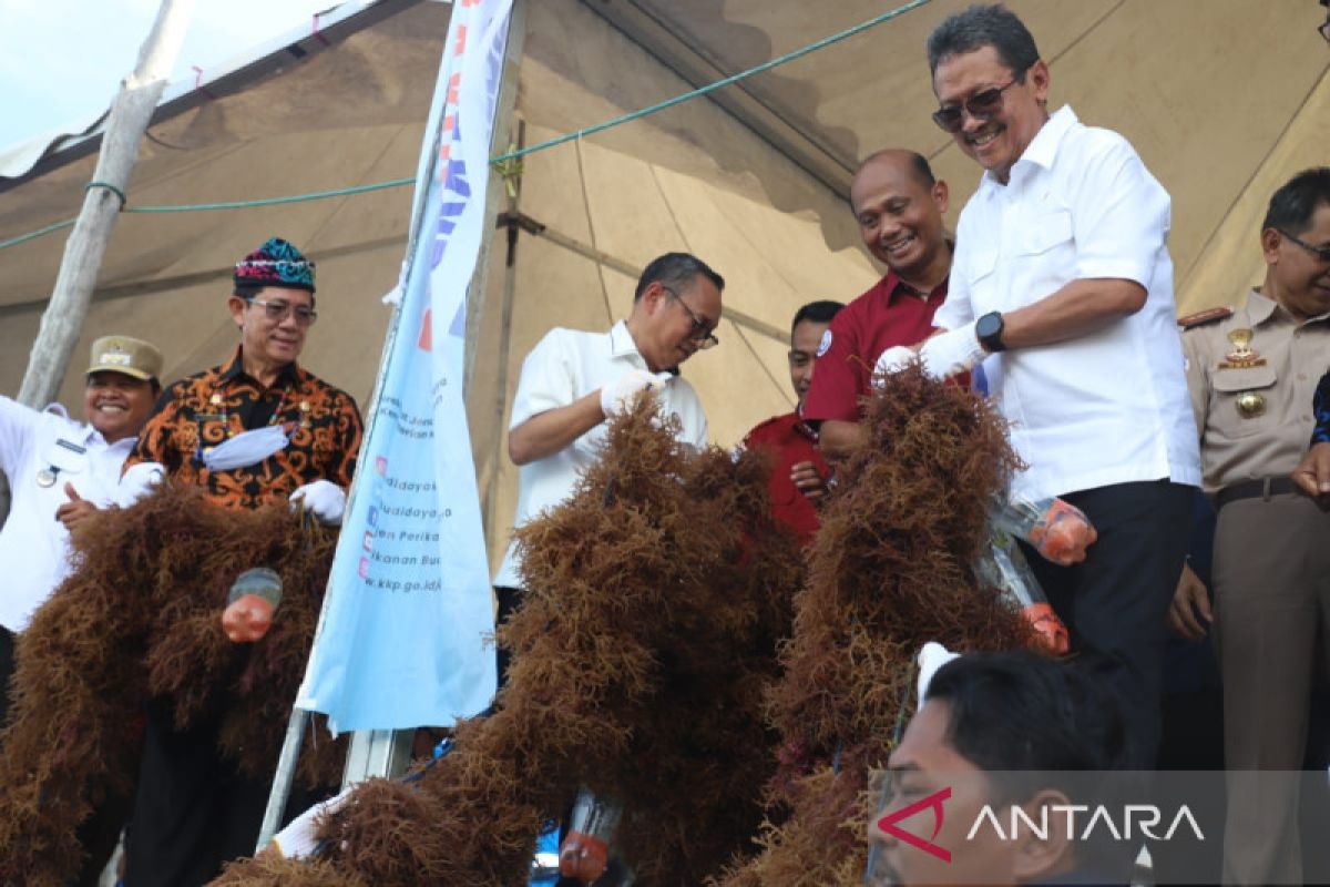 Downstream effort will help bolster seaweed production: Minister