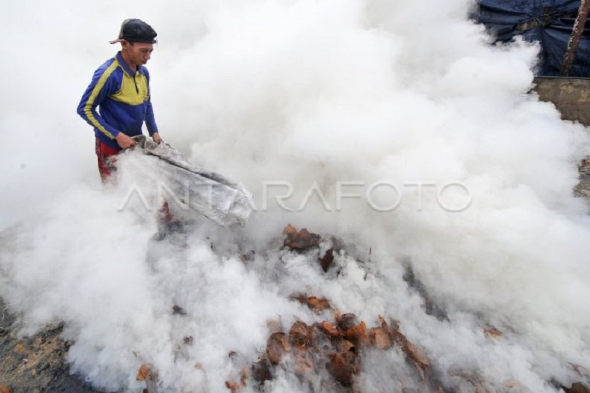 Permintaan arang batok meningkat