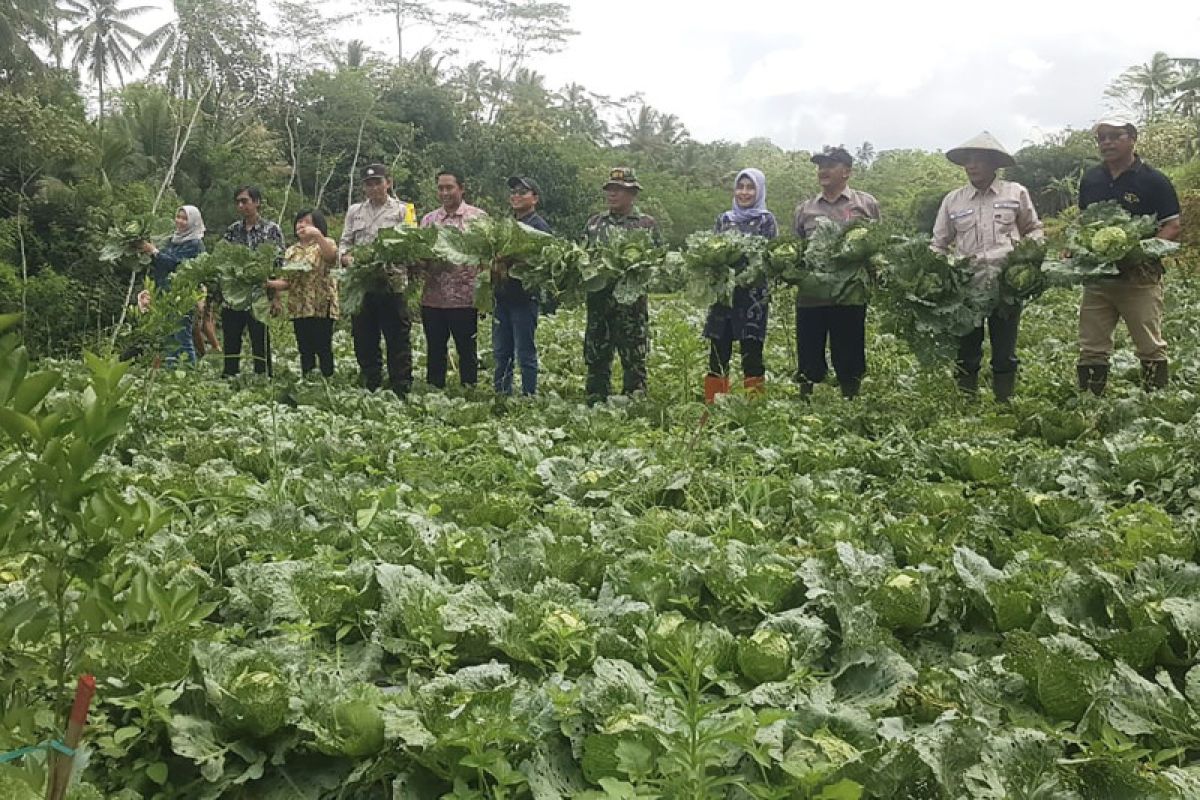 Desa di Malang kembangkan ketahanan pangan guna dukung edu-agro wisata