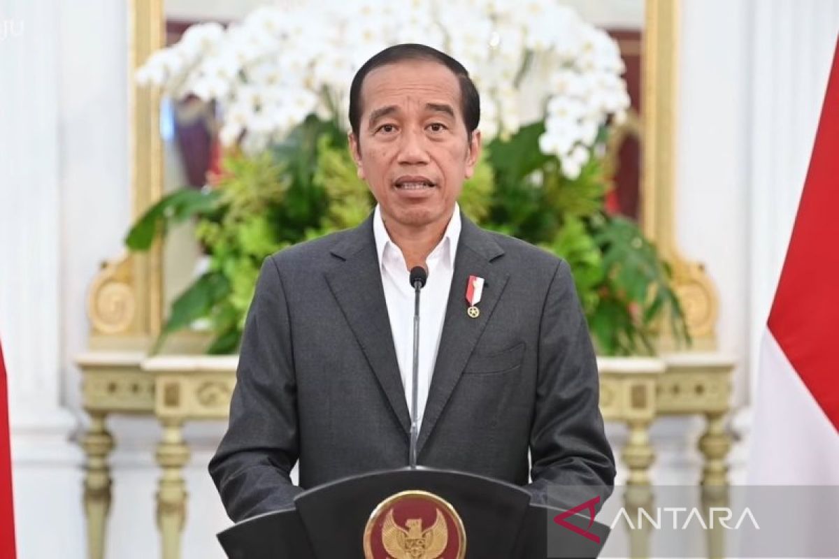 Presiden Jokowi sikapi demokrasi soal dua gubernur tolak Israel di Piala Dunia