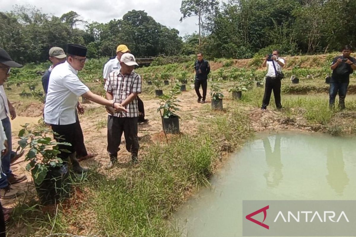 Kampung perikanan budi daya ikan gabus ada di OKU