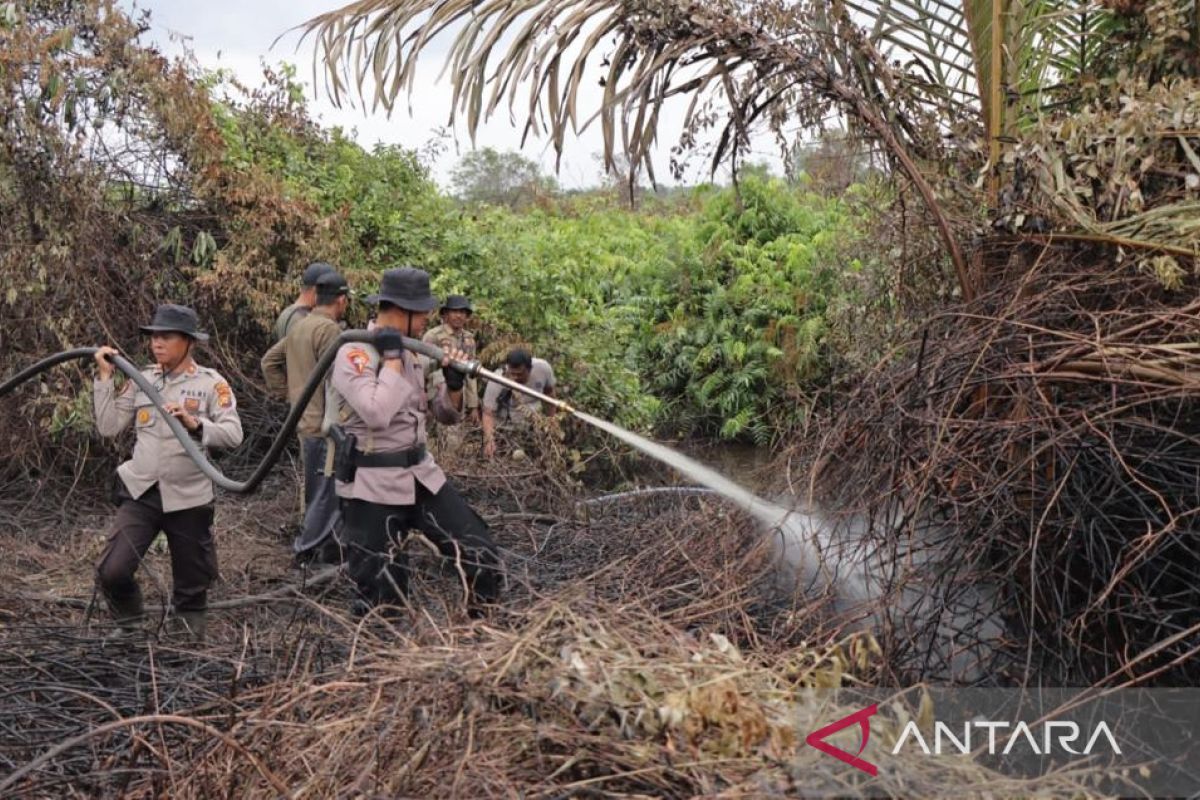 Enam hektare lahan di Pulau Merbau terbakar