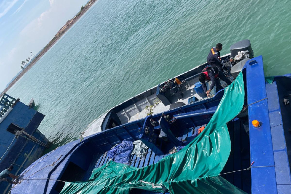Penyelundupan 60 ribu benih lobster di Batam digagalkan