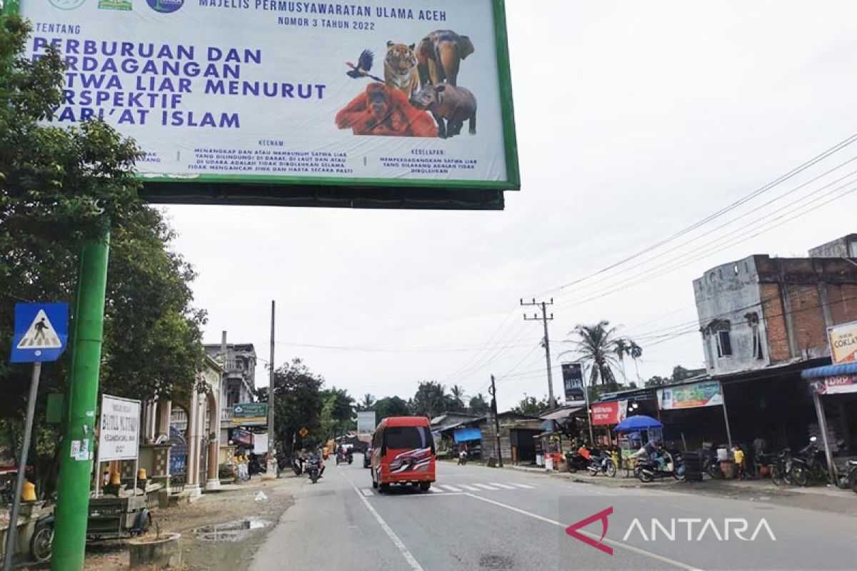 MPU Aceh pasang baliho larangan perburuan satwa liar