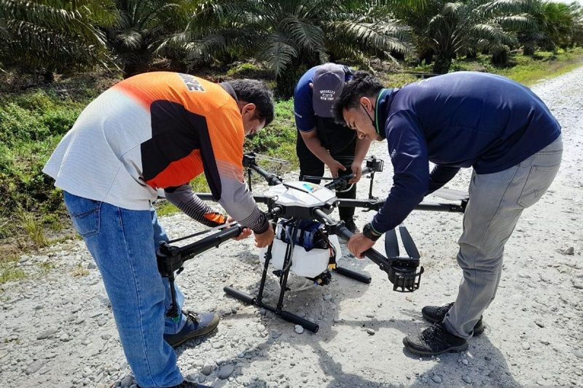 PTPN V manfaatkan drone berantas hama perkebunan sawit