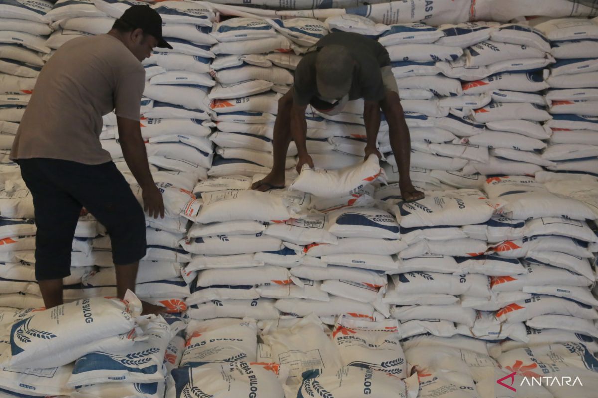 Bulog Ternate jamin ketersediaan beras hingga 2024