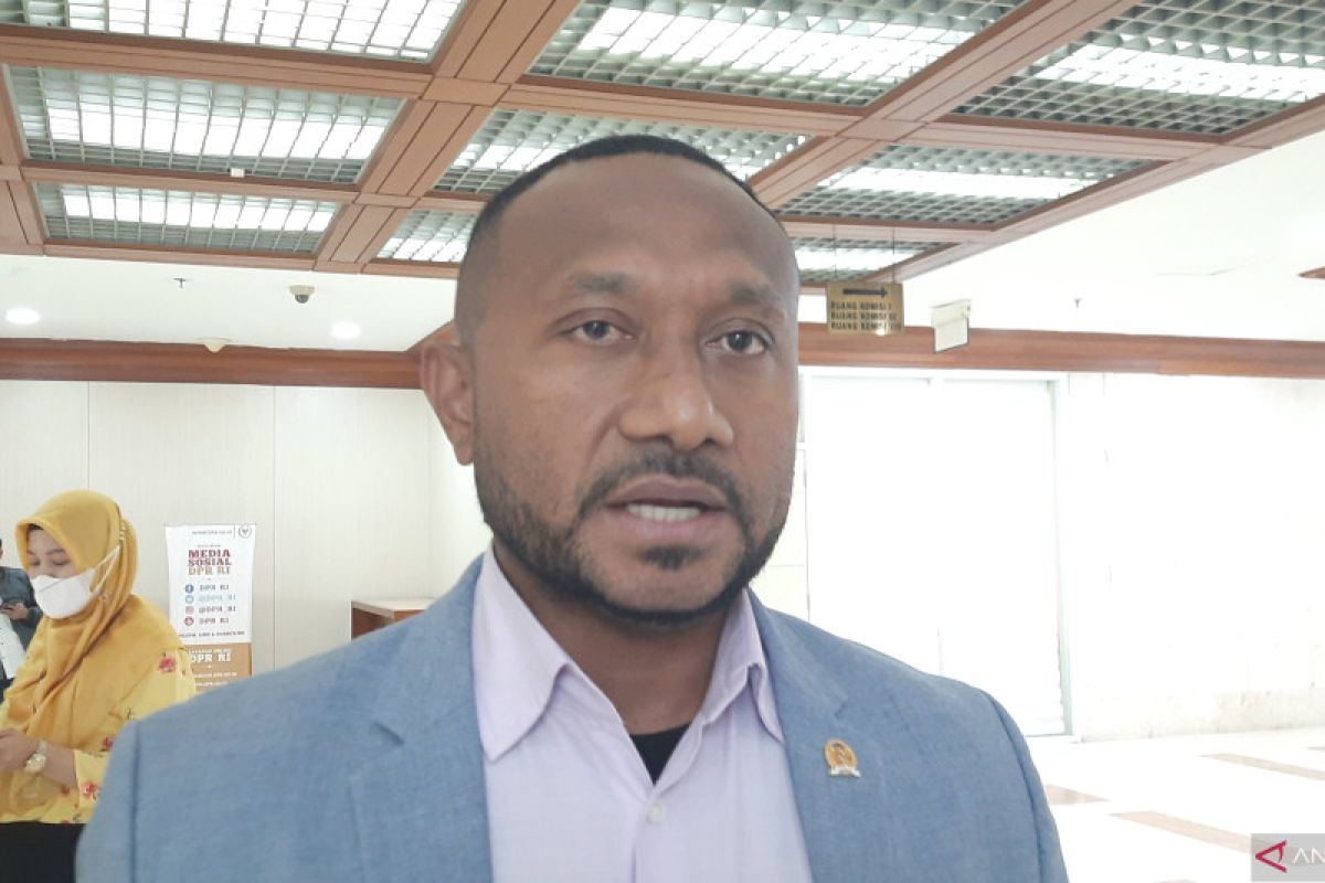 Legislator minta jaminan keamanan untuk tambah dokter spesialis di Papua