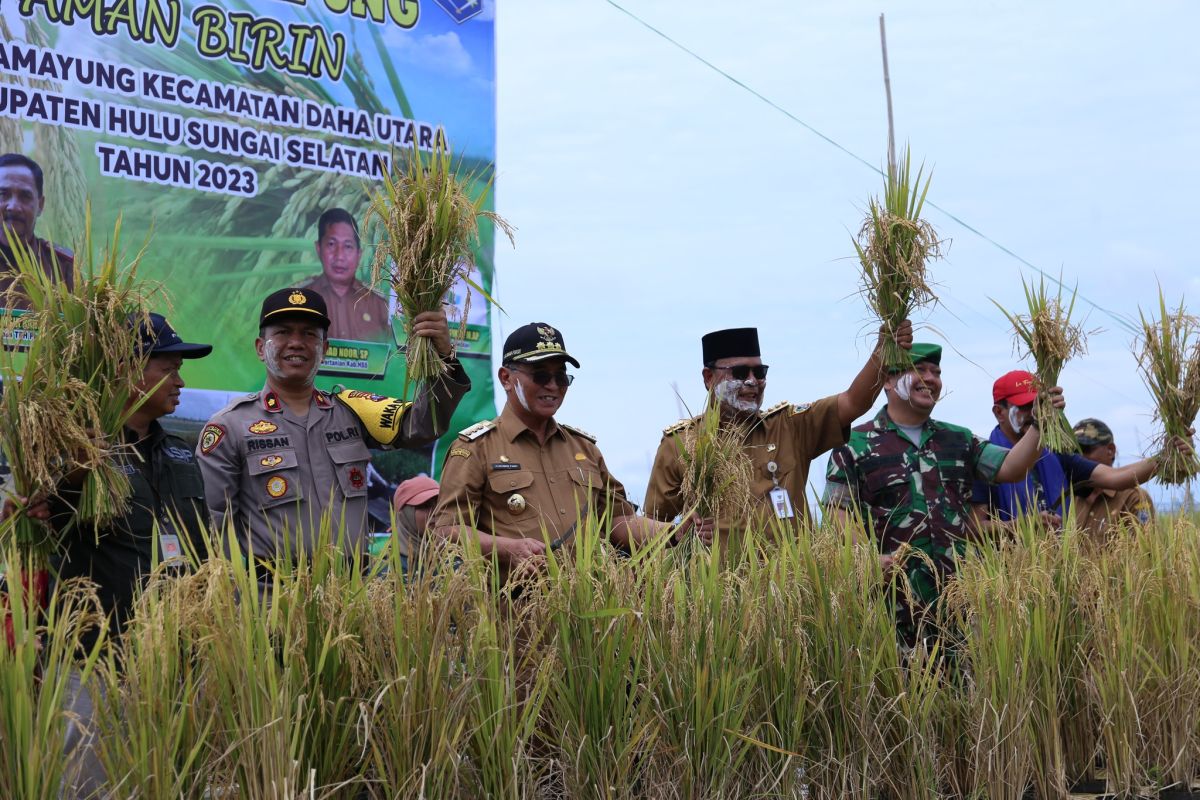 Bupati HSS dan Gubernur Kalsel panen dan syukuran padi apung