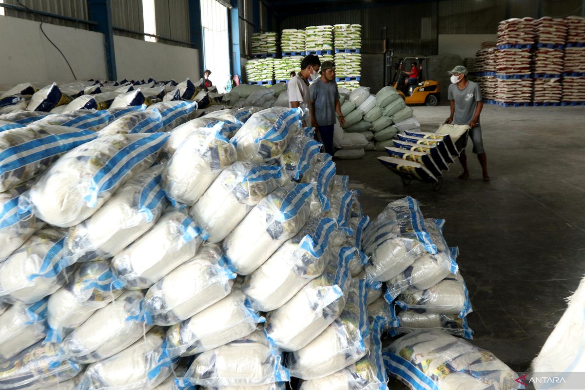 Asosiasi minta pemerintah segera revitalisasi penggilingan padi kecil