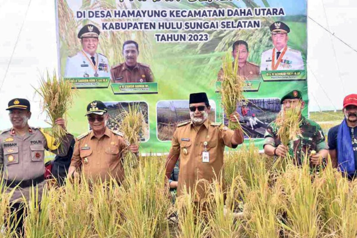 Gubernur panen padi apung di desa Hamayung Hulu Sungai Selatan