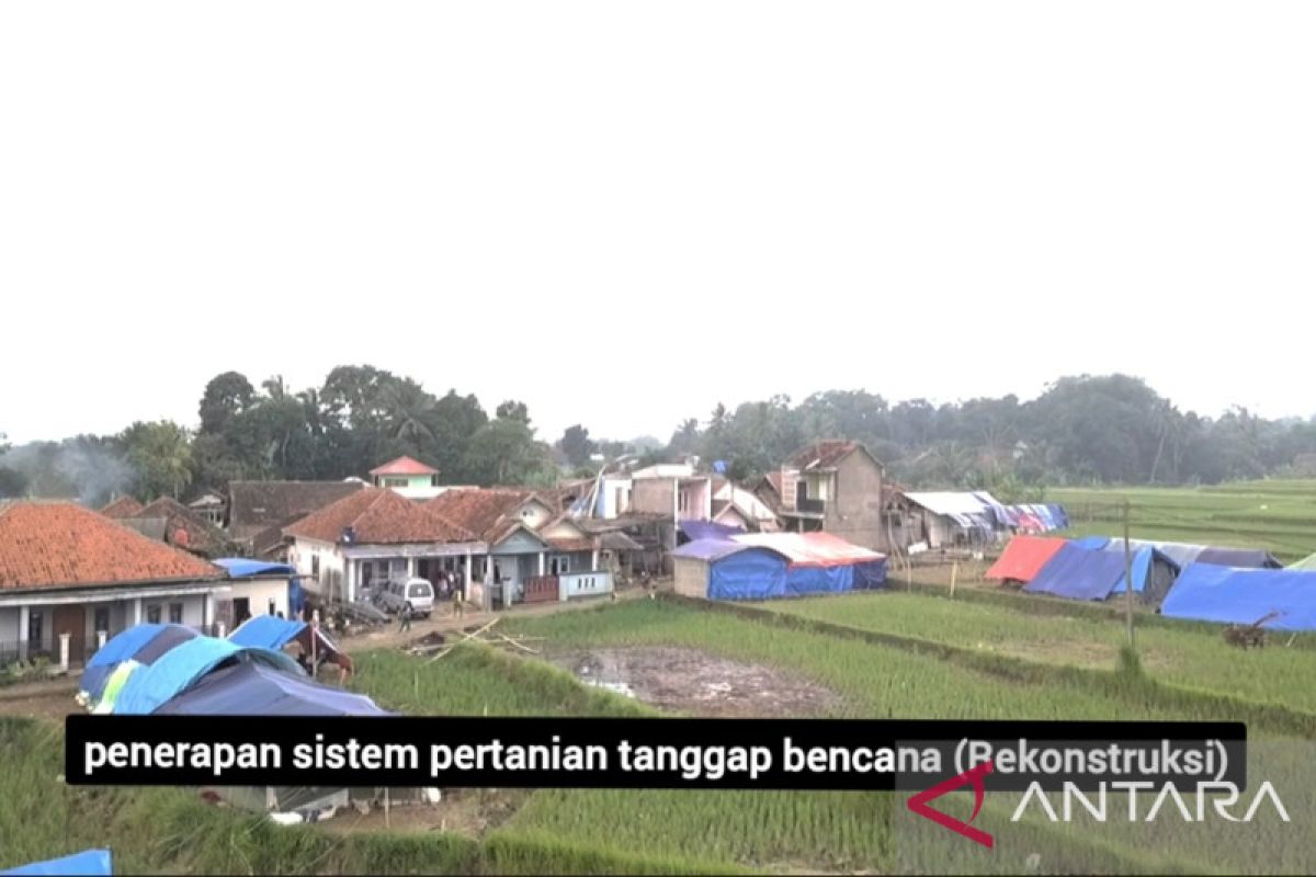 IPB kenalkan PENA perhitungan nilai kerugian dan kerusakan pertanian akibat gempa Cianjur