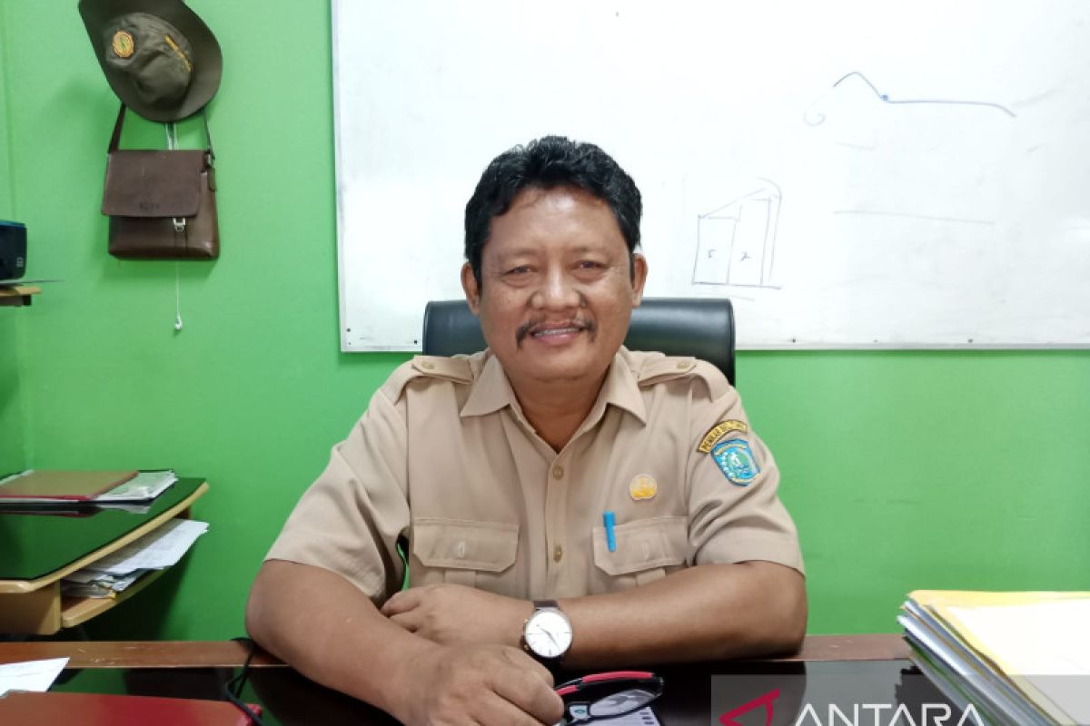 Belitung butuhkan sapi potong  300 ekor untuk Idul Fitri