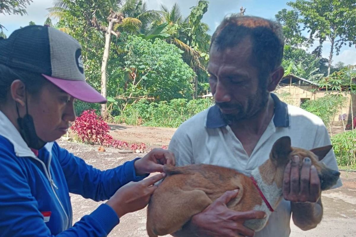 Nagekeo lakukan vaksinasi darurat cegah rabies