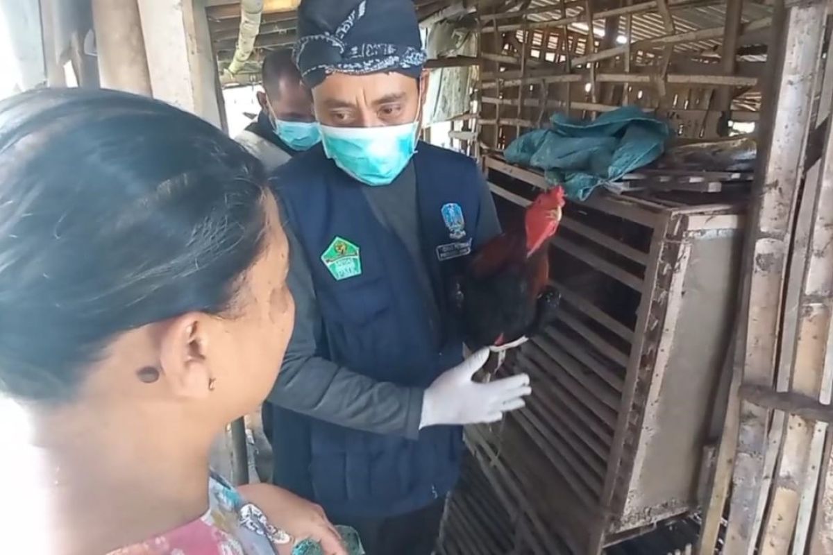 Ahli: Perlu One Health tangani flu burung dan pandemi akibat zoonosis