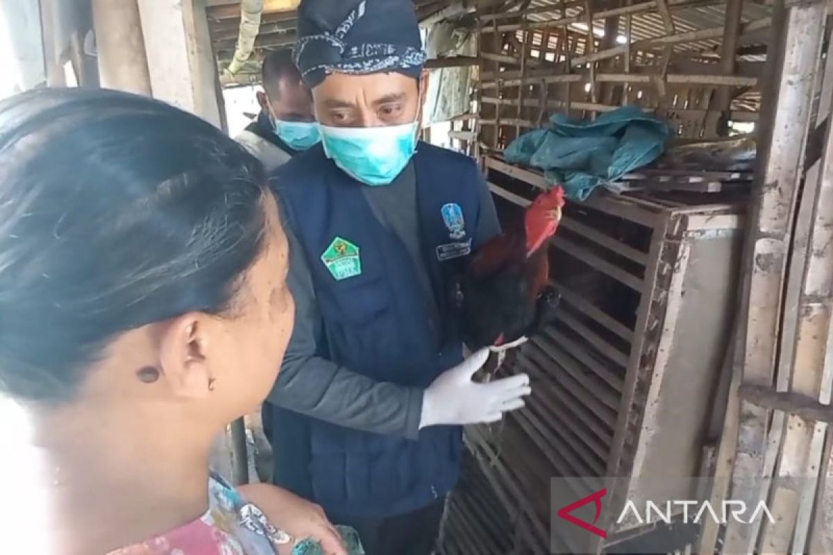 DKPP Kota Madiun pantau kesehatan ternak unggas waspadai flu burung