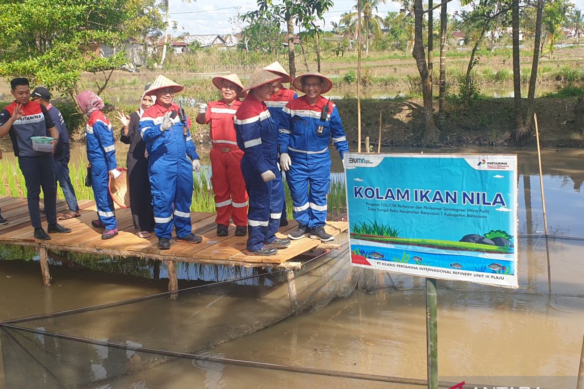 Pertamina RU Plaju bantu kembangkan mina padi di Banyuasin Sumsel