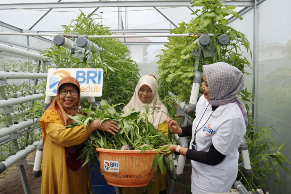 BRI Peduli bersama RO Padang berdayakan perempuan dan ekonomi hijau