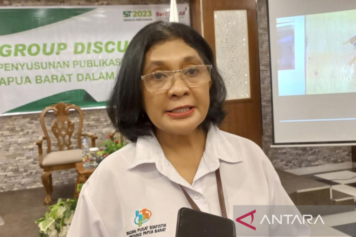 BPS akan pisahkan data PDRB Papua Barat dan Papua Barat Daya