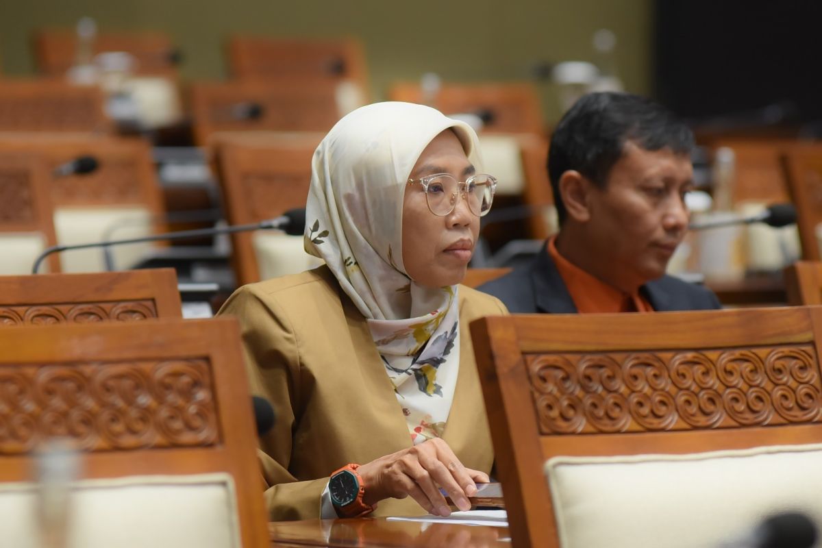 Anggota Komisi IX minta pemerintah upayakan pemulangan PMI korban TPPO