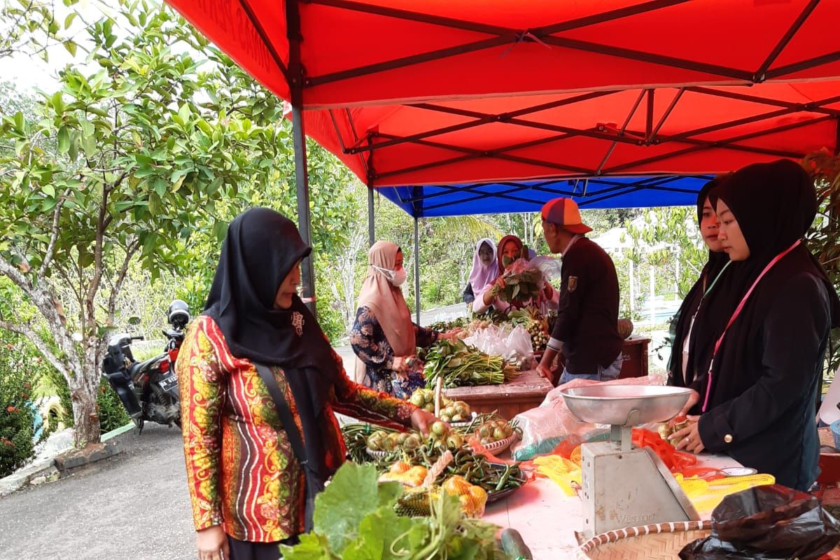 Hikun Agri Park Tabalong berkembang jadi kawasan wisata edukasi