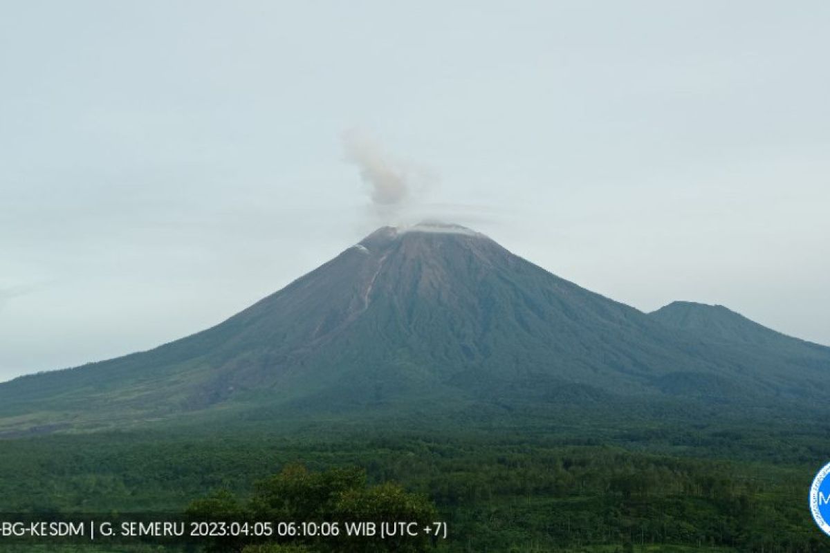 Gunung Semeru alami 14 kali gempa letusan