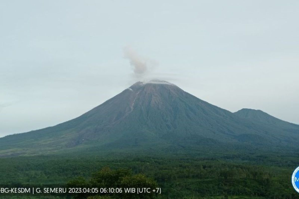 Gunung Semeru hari ini mengalami 14 kali gempa letusan