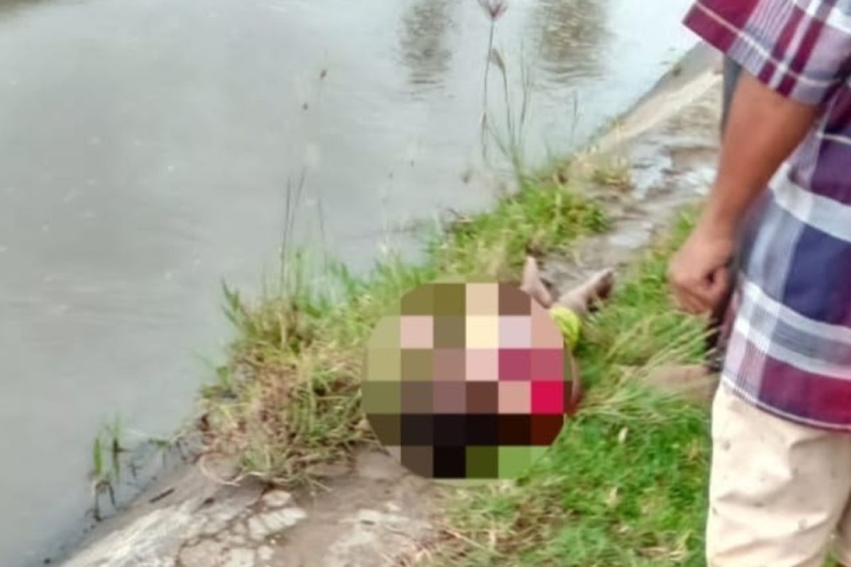 Balita dua setengah tahun tewas di saluran irigasi Tanggamus Lampung