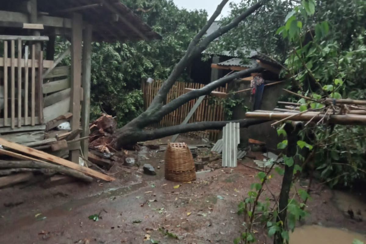 Puting beliung hempaskan puluhan rumah warga Desa Kedaton II Lampung Timur