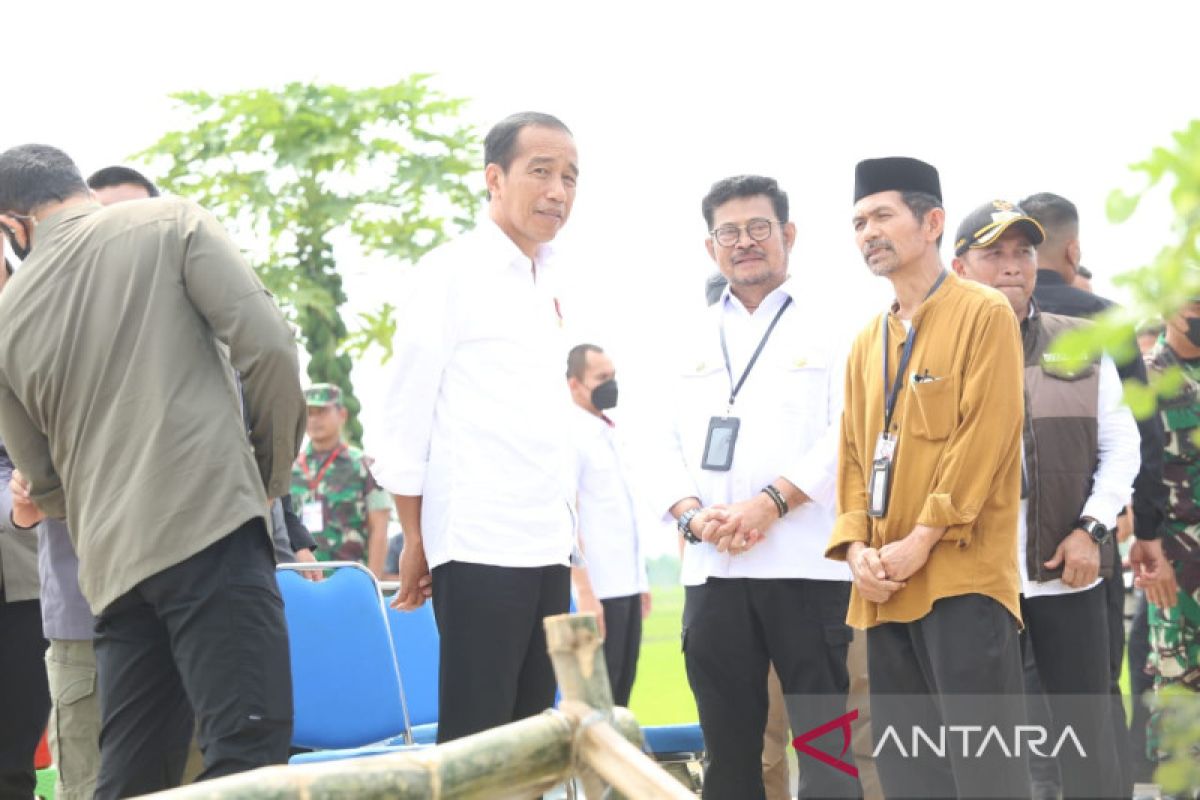 Jokowi sebut impor beras perkuat cadangan Bulog hadapi musim kering
