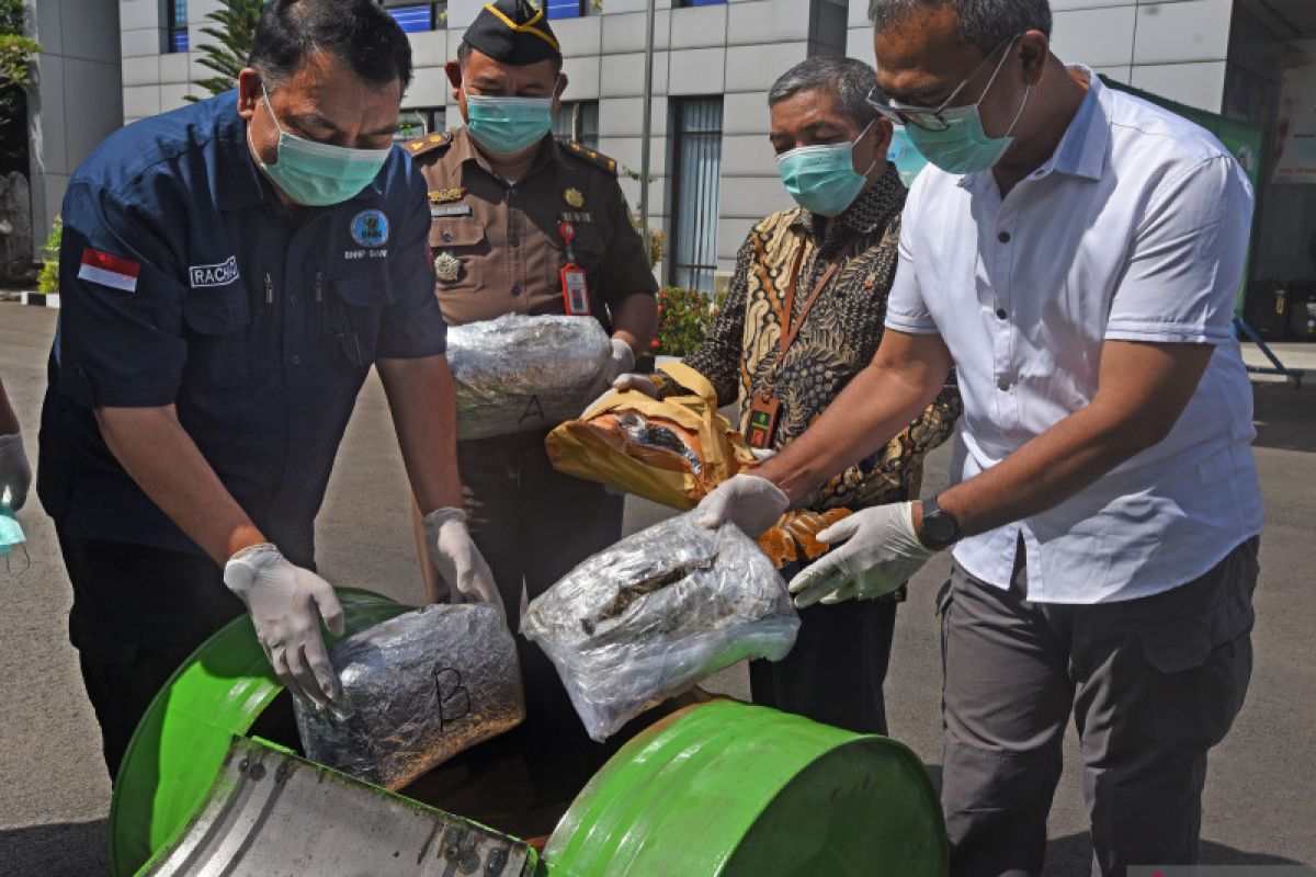 BNN Banten musnahkan barang bukti ganja 5.3 kilogram