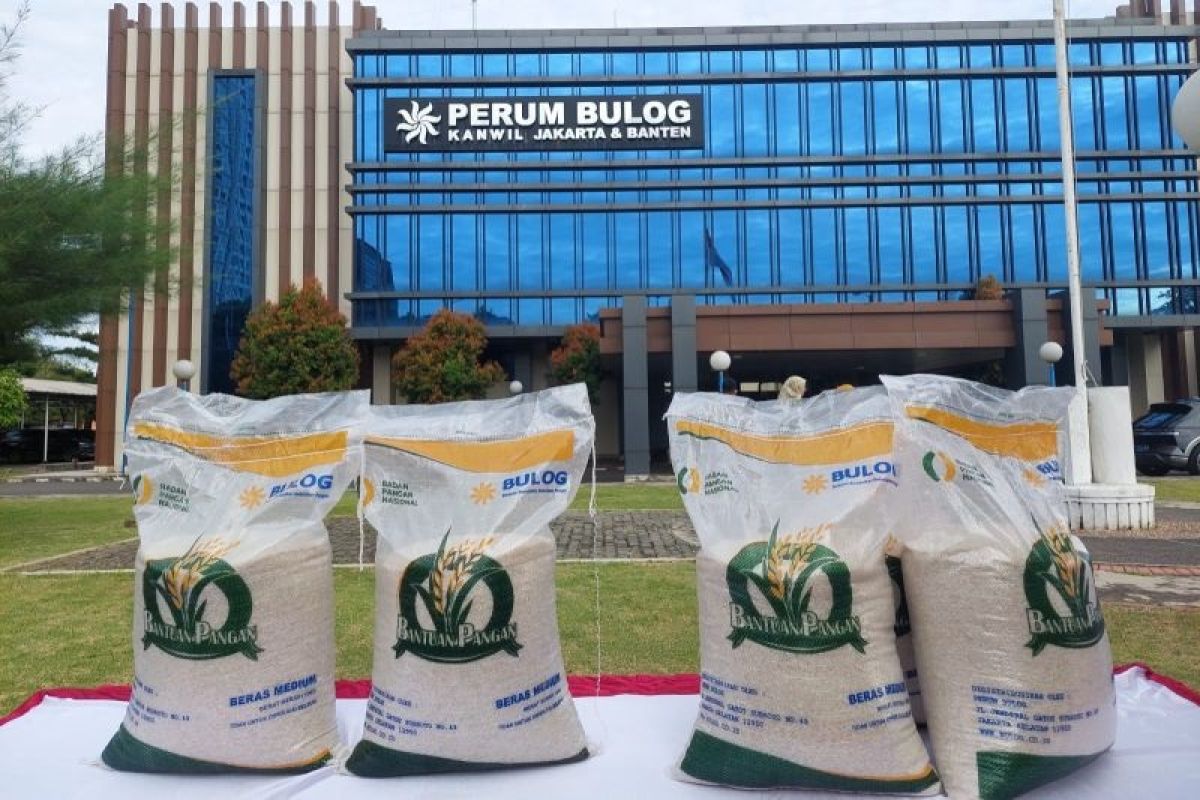 Bulog pastikan beras untuk bantuan sosial berkualitas bagus