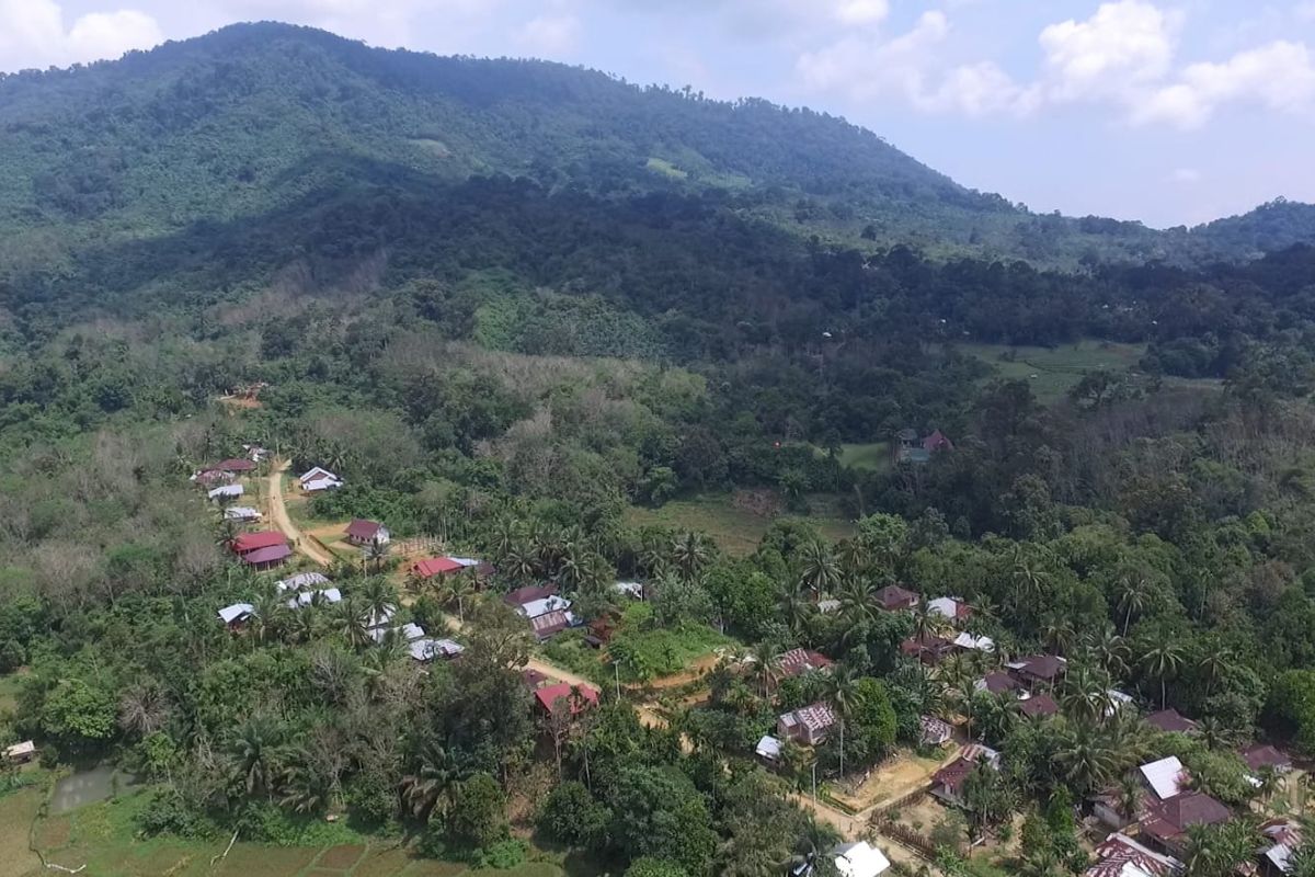 Menanti Peraturan Daerah Masyarakat Hukum Adat untuk hutan adat di Jambi