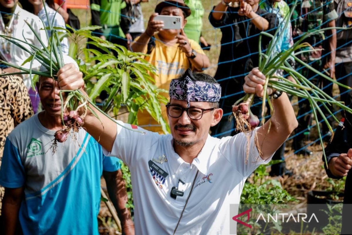 Sandiaga sebut kegiatan bertani di Desa Selamanik daya tarik wisata