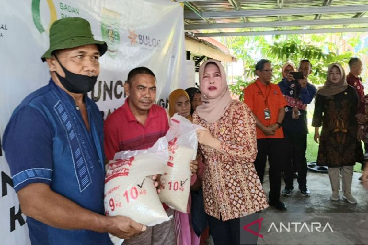 5.862 KPM di Barito Selatan dapat bantuan cadangan pangan