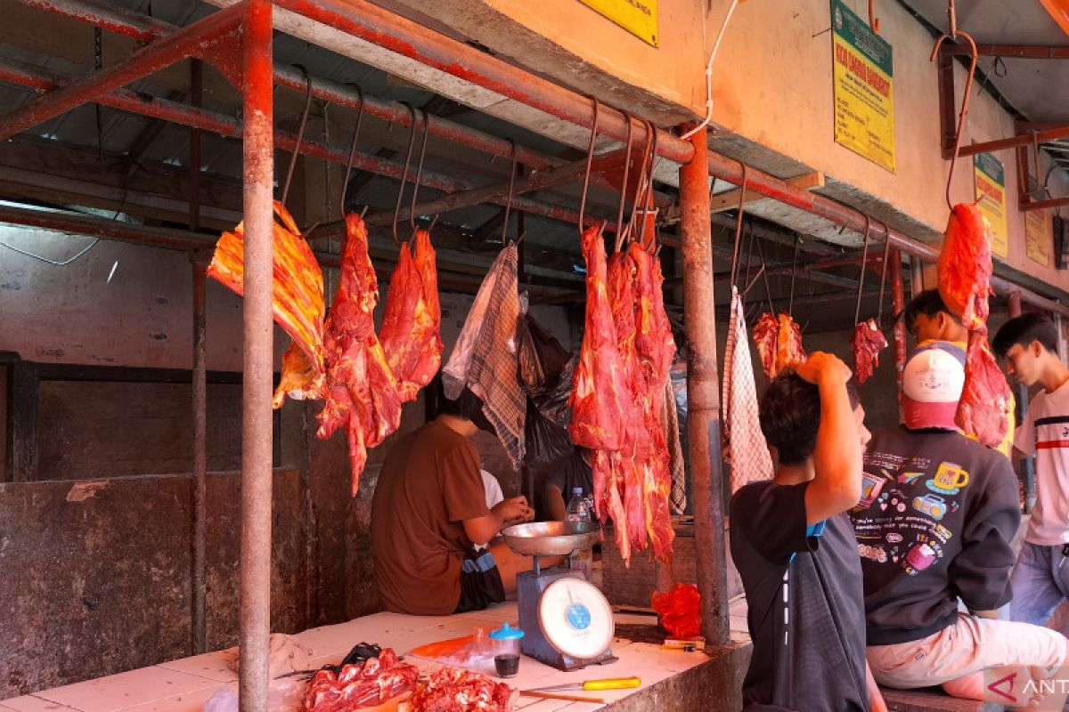 Harga daging sapi di pasar tadisional Lampung Selatan normal