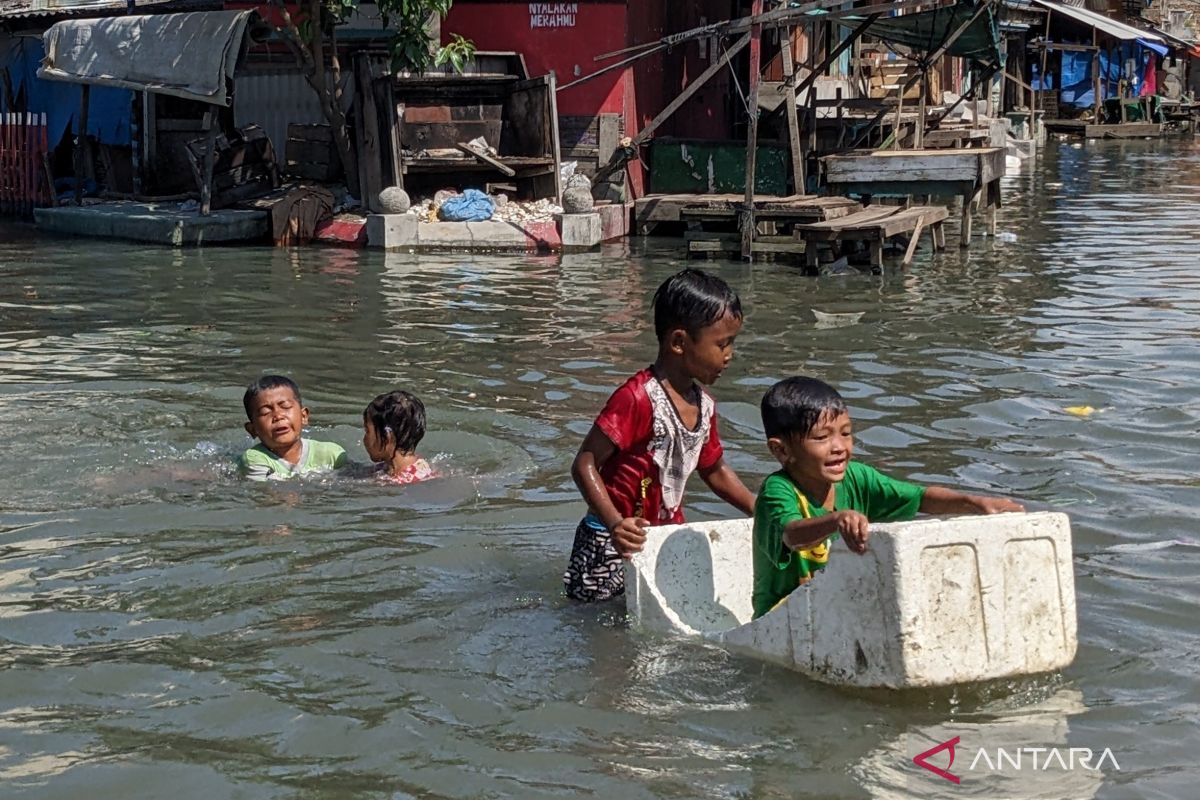 Banjir rob perlambat gerak ekonomi warga Kelurahan Bagan Deli