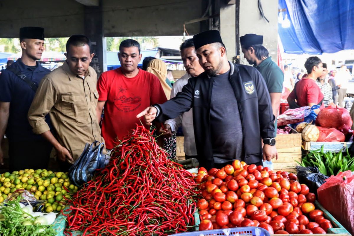 Pj Bupati Aceh Besar pantau ketersediaan sembako di Pasar Lambaro