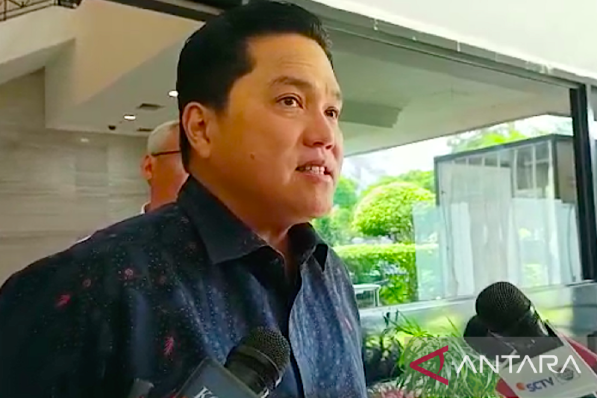 Energy transition must follow blueprint: Thohir