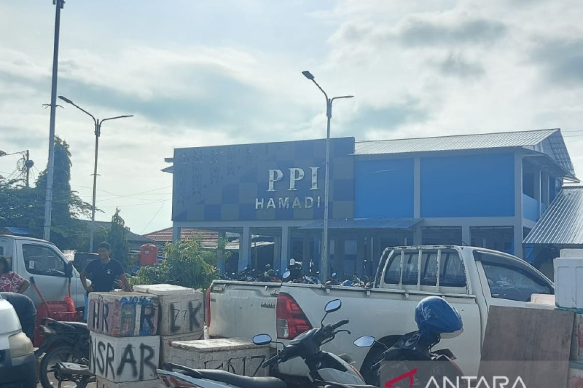 DKP Papua uji coba pengoperasian Pangkalan Pendaratan Ikan Hamidi