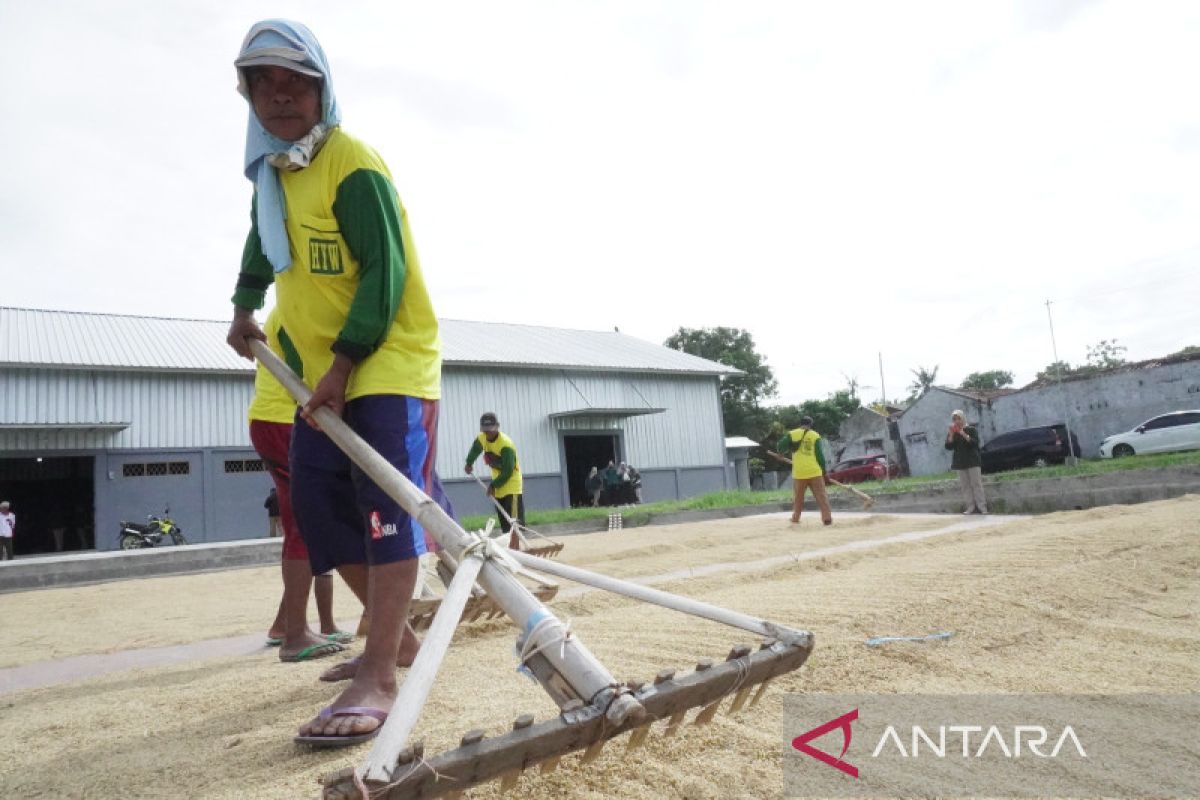 NFA sebut Lumbung Pangan Masyarakat sumber pangan dan gizi