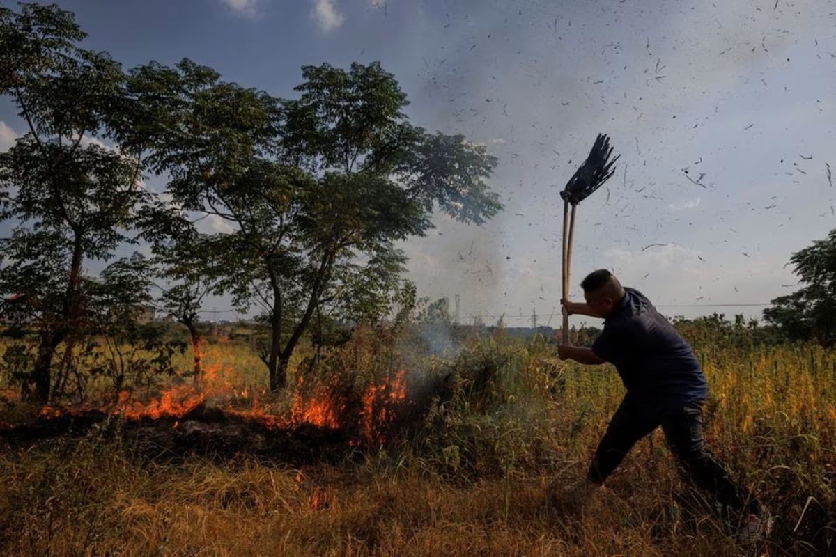 Perbatasan China terancam kebakaran padang rumput Mongolia