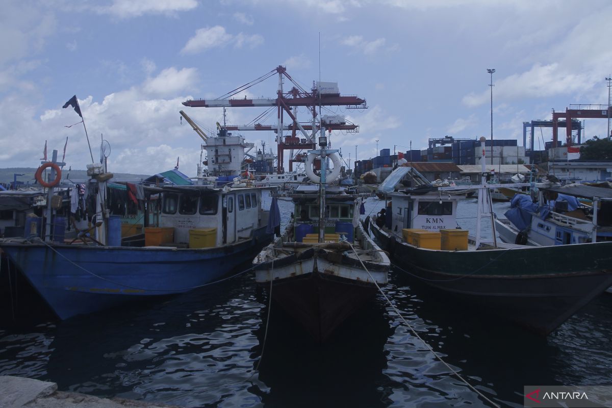 Nelayan berharap ekspor ikan langsung dari Kupang