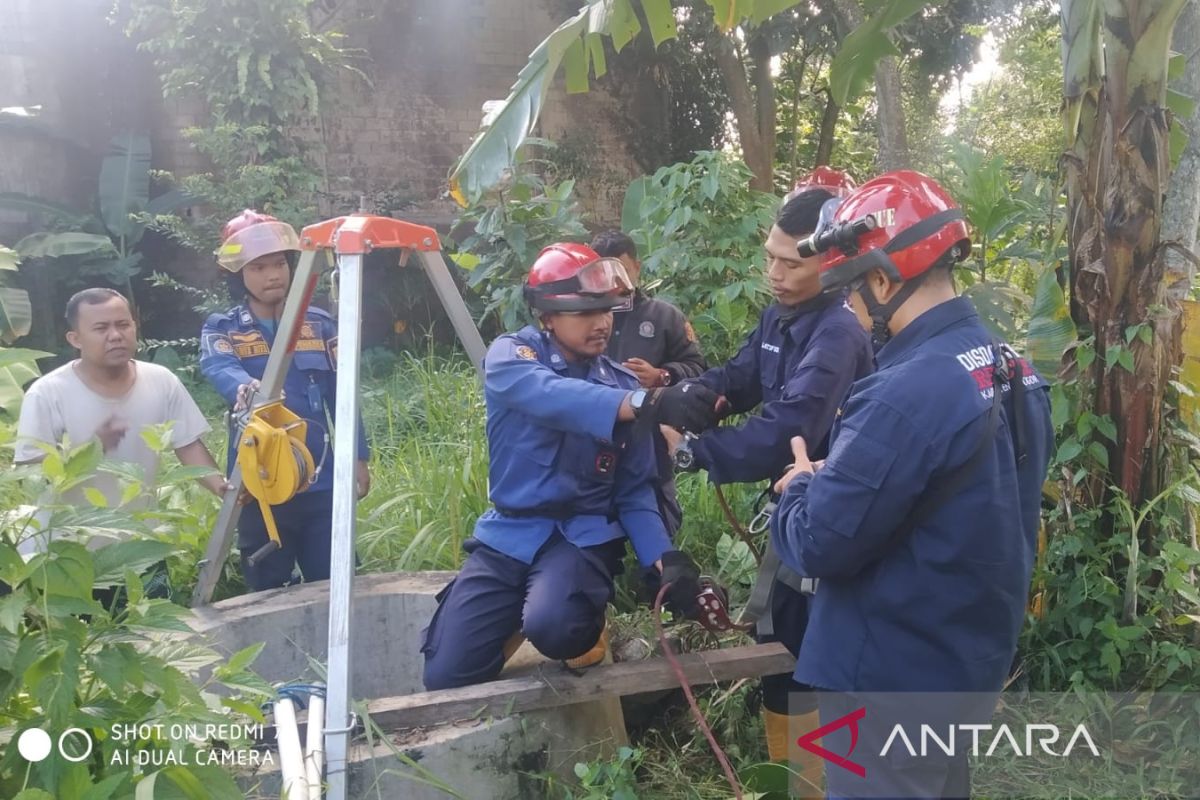 Tim Rescue Damkar Bogor evakuasi tiga kambing tercebur kedalam umur