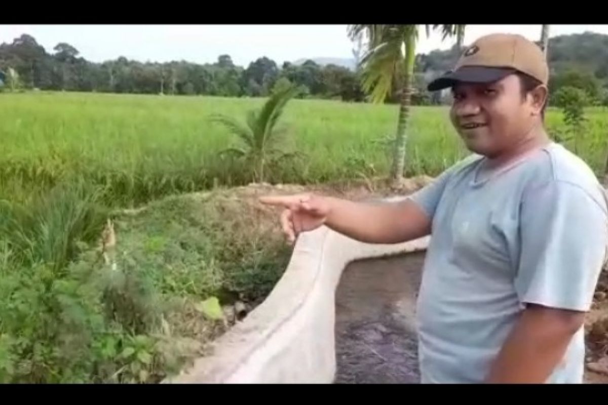 Politisi muda Kota Padang Sidempuan lirik pertanian berkelanjutan