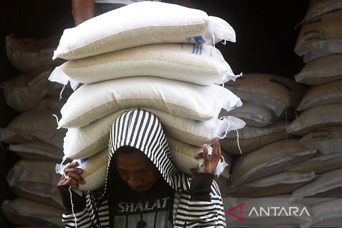 Bapanas tegaskan impor beras hanya untuk penuhi stok pemerintah