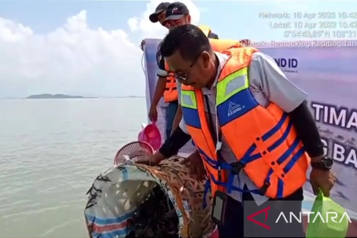 PT Timah melepasliarkan ratusan kepiting di Pantai Kundur
